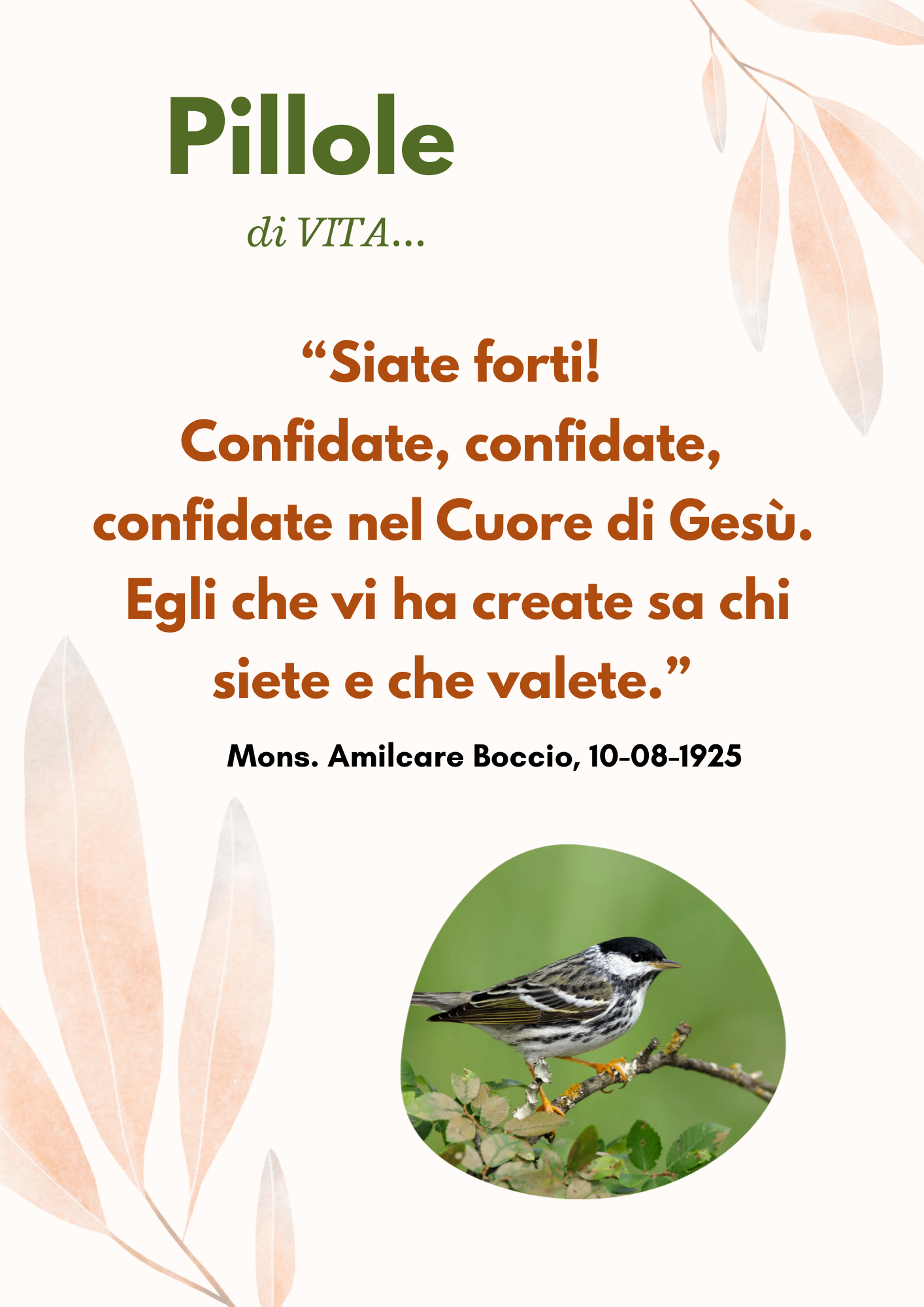 Piccole Figlie del Sacro Cuore di Ges&ugrave;